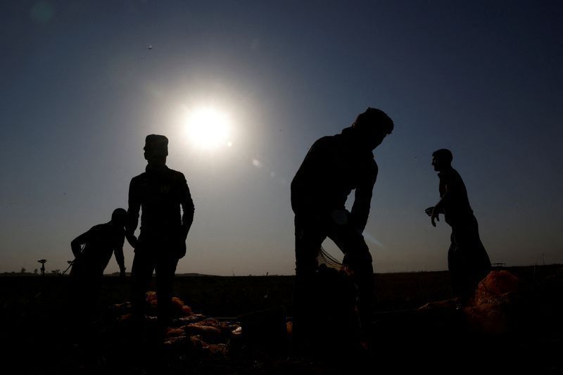 Calor extremo redesenha mapa da agricultura global, diz FAO