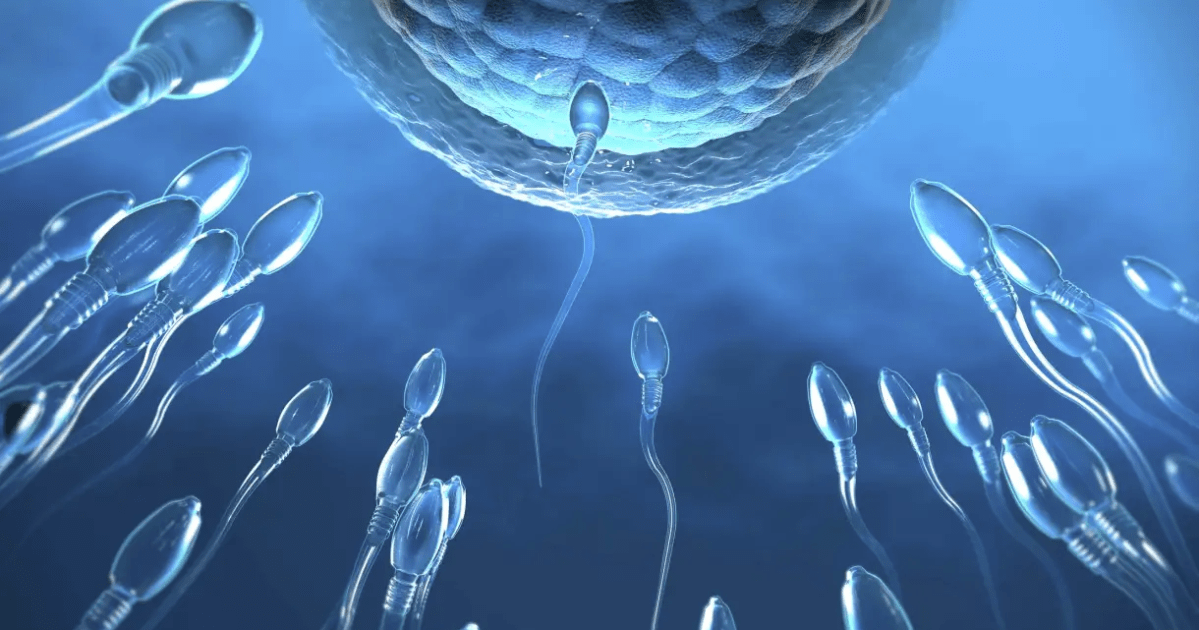 Estresse pode afetar a fertilidade masculina, alerta especialista
