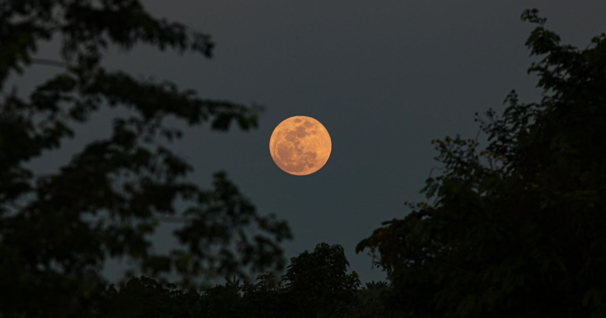 “Lua Cheia das Flores” ocorrerá em 1º de maio; entenda significado