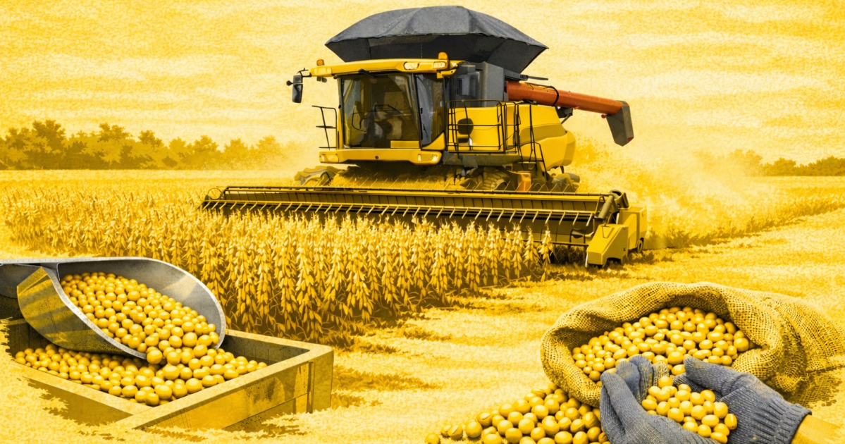 Moratória da Soja: partes terão até dia 30 para apresentar propostas ao STF