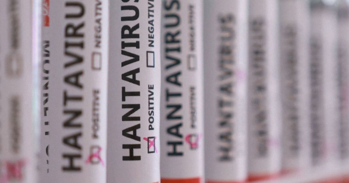 Cientistas da Argentina começam a investigar origem de surto de hantavírus