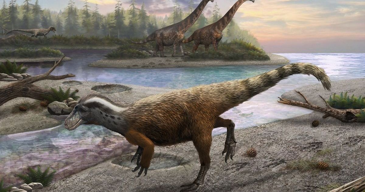 Dinossauro carnívoro andava a 1 km/h na região da China; entenda