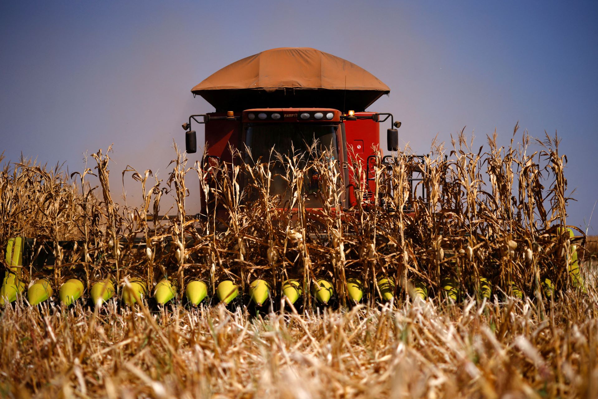 Evolução do agronegócio faz Centro-Oeste superar Sul/Sudeste em renda média em 2025