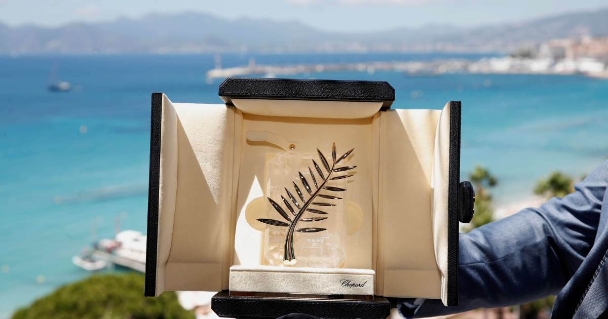 Festival de Cannes 2026: quando o vencedor da Palma de Ouro será revelado?