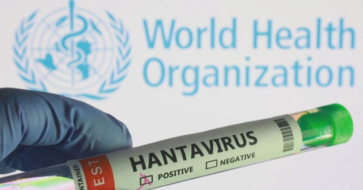 OMS confirma sete casos de hantavírus andino em passageiros de cruzeiro