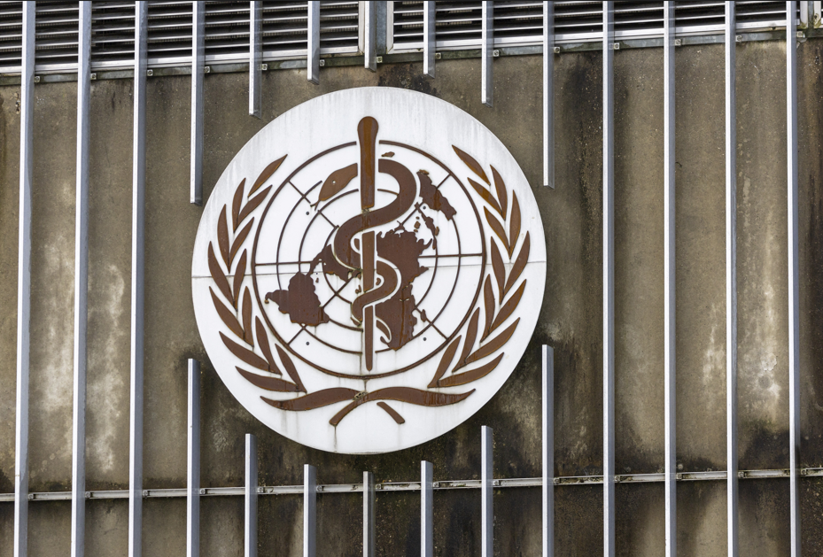 OMS identifica tratamentos e vacinas para serem testados contra Ebola