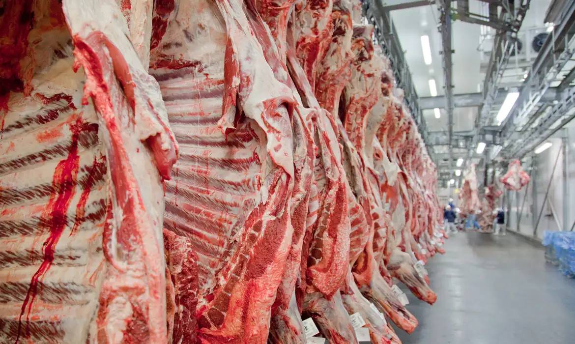 UE enviará ao Brasil pedido de informações adicionais sobre carnes exportadas