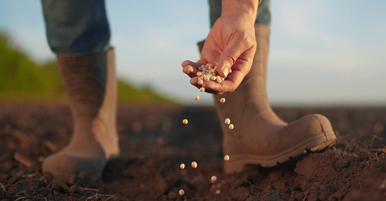 Bradesco renova com Projeto Agro, da Globo