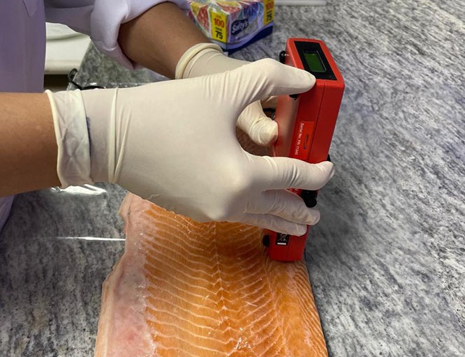 Carne de laboratório: conheça a técnica desenvolvida pela Embrapa
