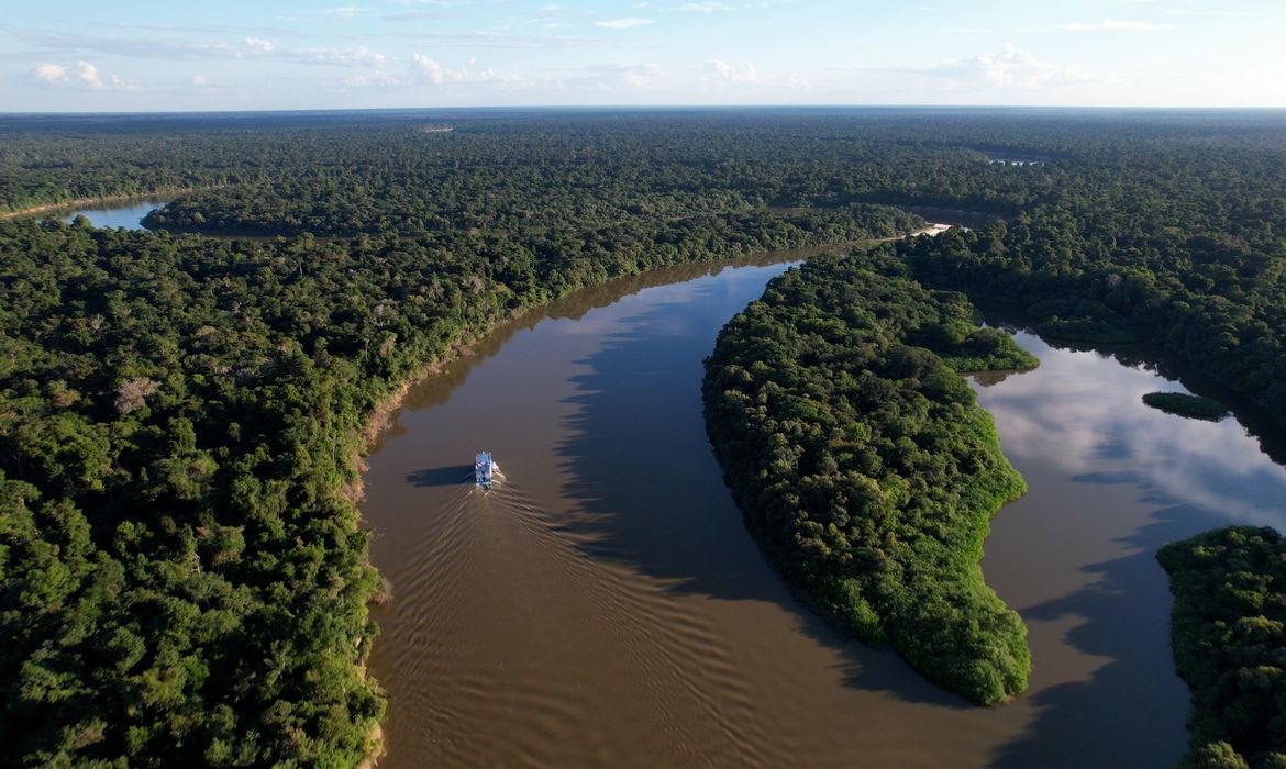 Desmatamento da Amazônia cai 61,4% em maio na comparação anual