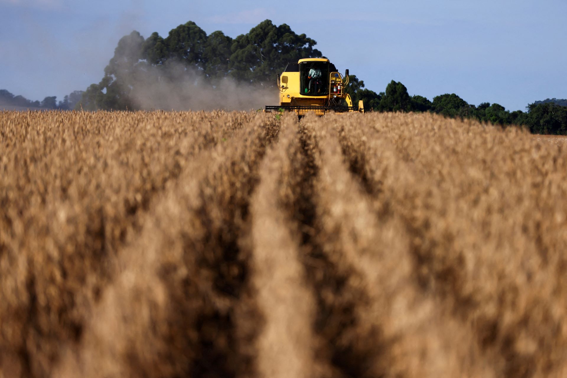 Ministério da Agricultura negocia aumento de 10% no Plano Safra com corte de juros