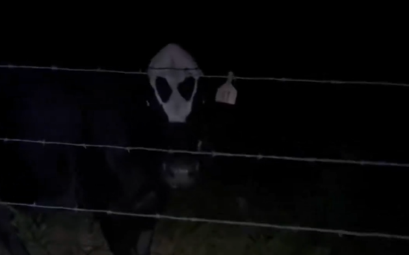 ‘Vaca alienígena’ causa espanto ao ser iluminada em zona rural nos EUA