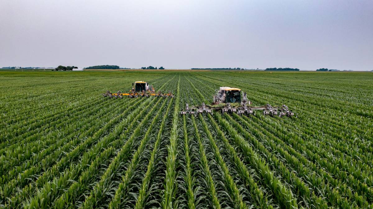 Banco do Brasil: nova MP do agro traz alívio no curto prazo, mas não elimina desafios