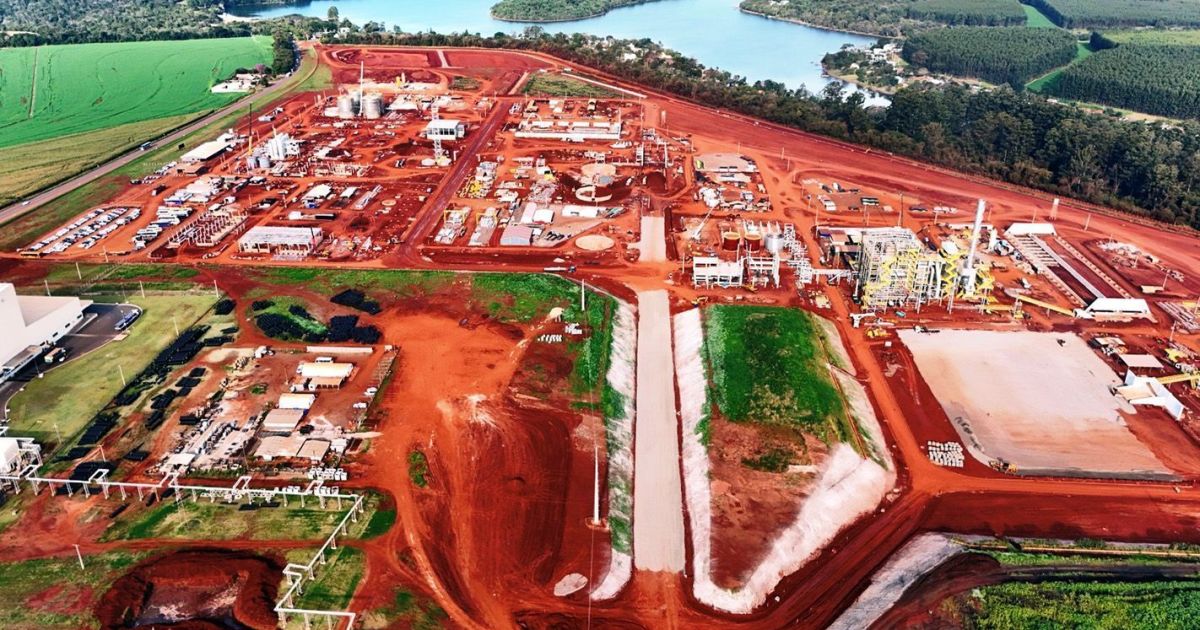 Coamo investirá R$ 64,2 milhões para ampliar armazenagem de grãos