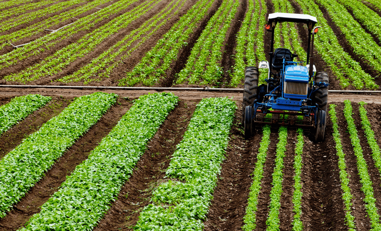 Frente da Agropecuária se reúne hoje com Durigan por PL das dívidas rurais