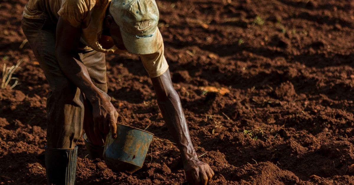 Inadimplência no agro deve manter alta de processos de reestruturação