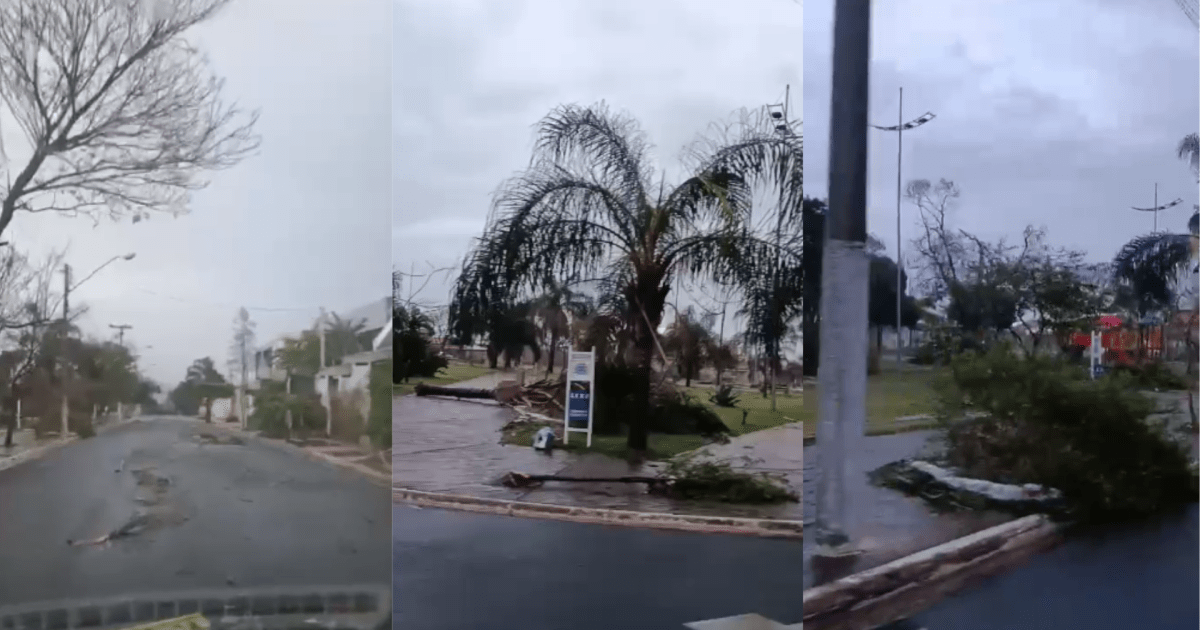 Região de Ribeirão Preto recebe apoio emergencial de SP após temporais