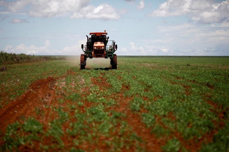 Tensão em Ormuz afeta produção de fertilizantes no Brasil