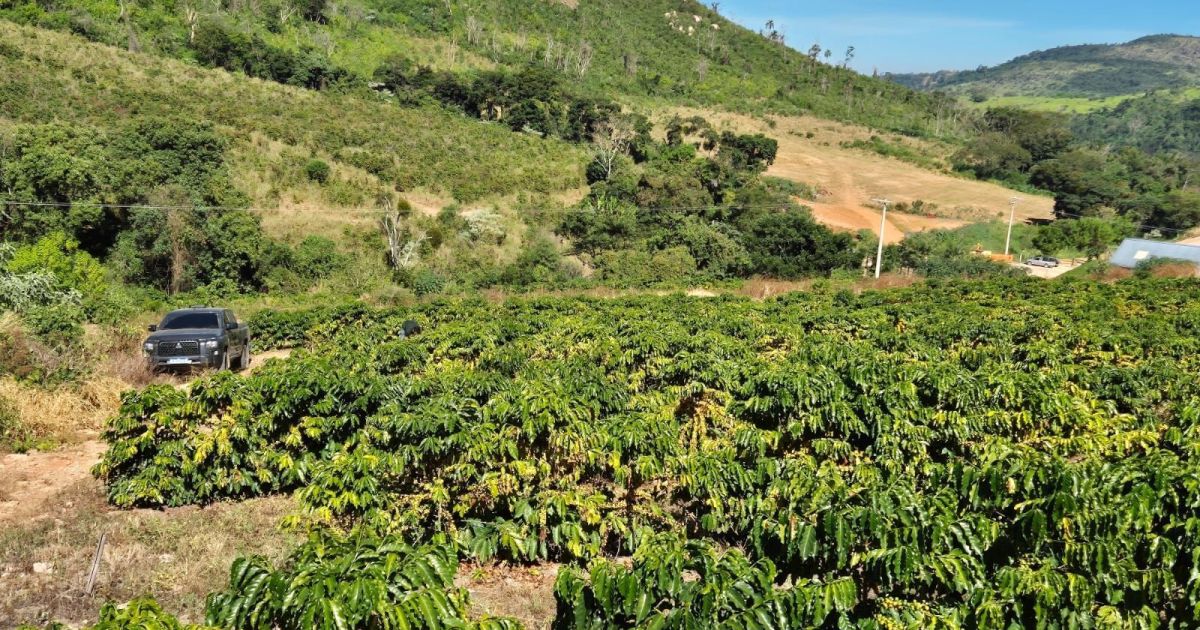 Agro avança em junho na contramão do restante da economia