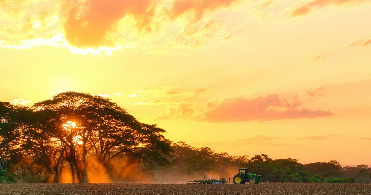 Agro pode gerar R$ 314 milhões em créditos de carbono até 2035, diz estudo