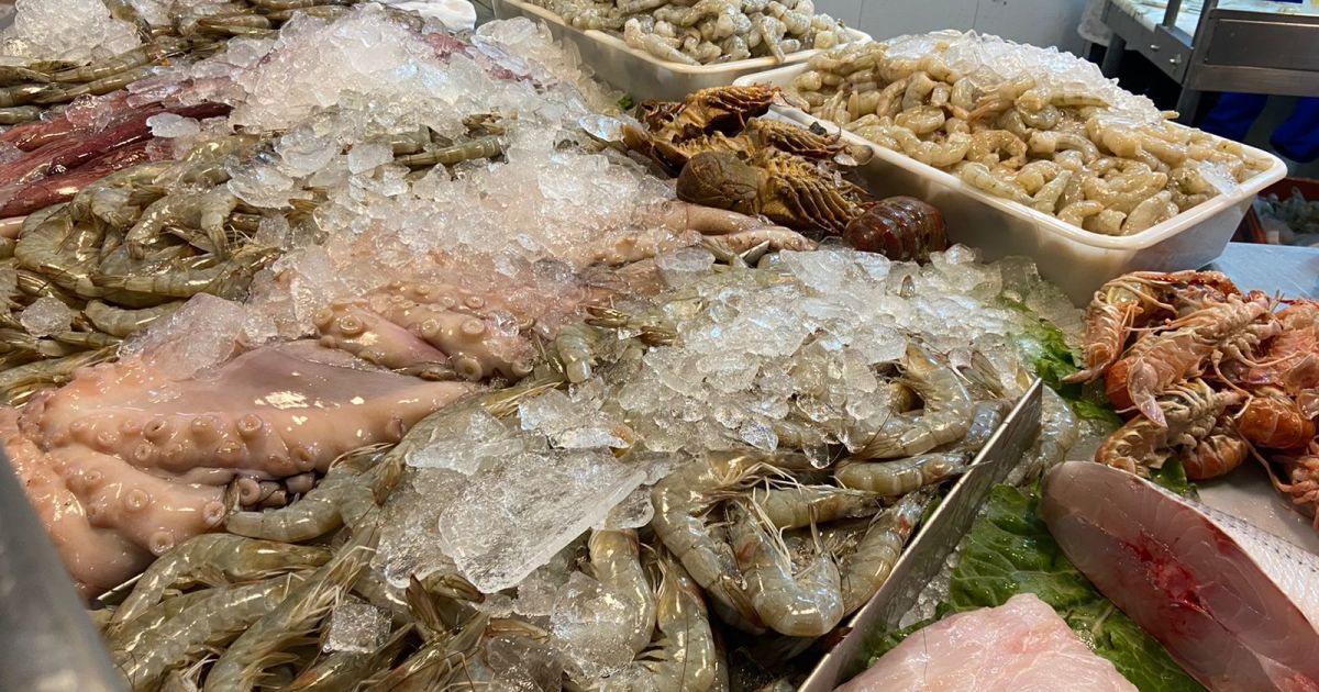Brasil abre mercados do Japão e União Euroasiática para produtos do agro