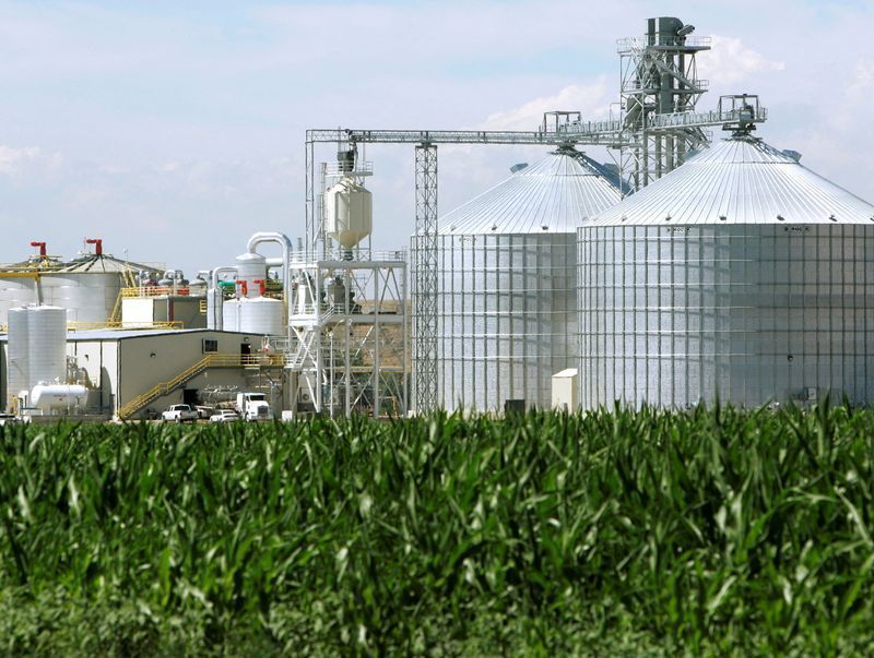 Brasil projeta alta de 20% nas exportações de etanol
