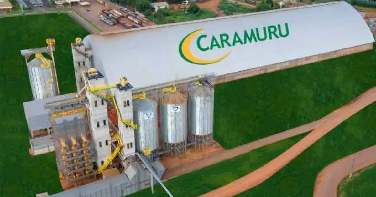 Caramuru tem alta de 2,8% no lucro líquido do segundo trimestre de 2026