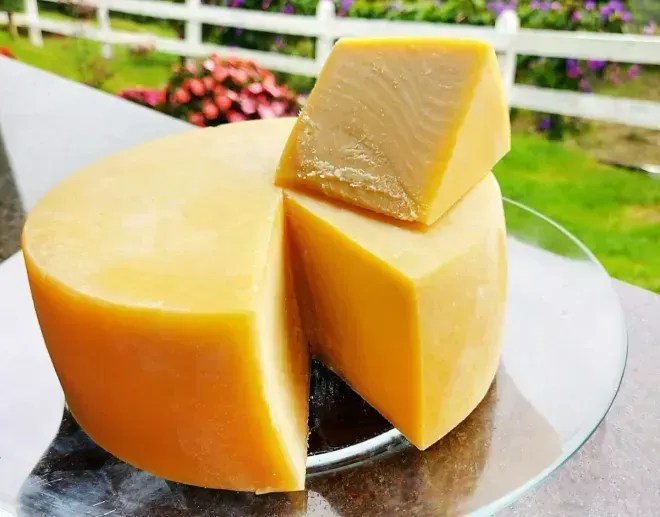 Expointer 2026 terá destaque para queijo gaúcho e cadeia do leite