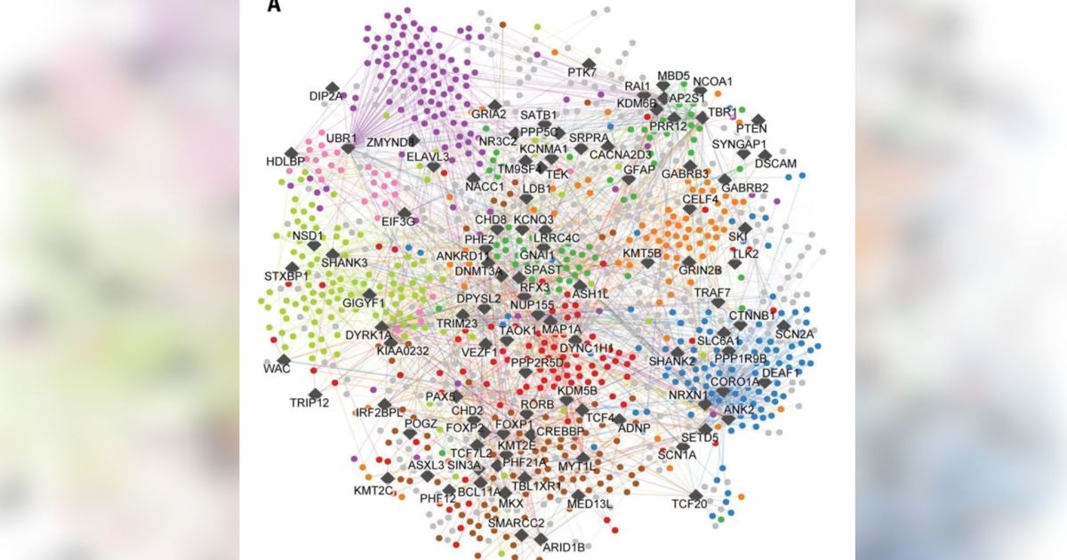 “Mapa” do autismo pode levar ao desenvolvimento de terapias direcionadas