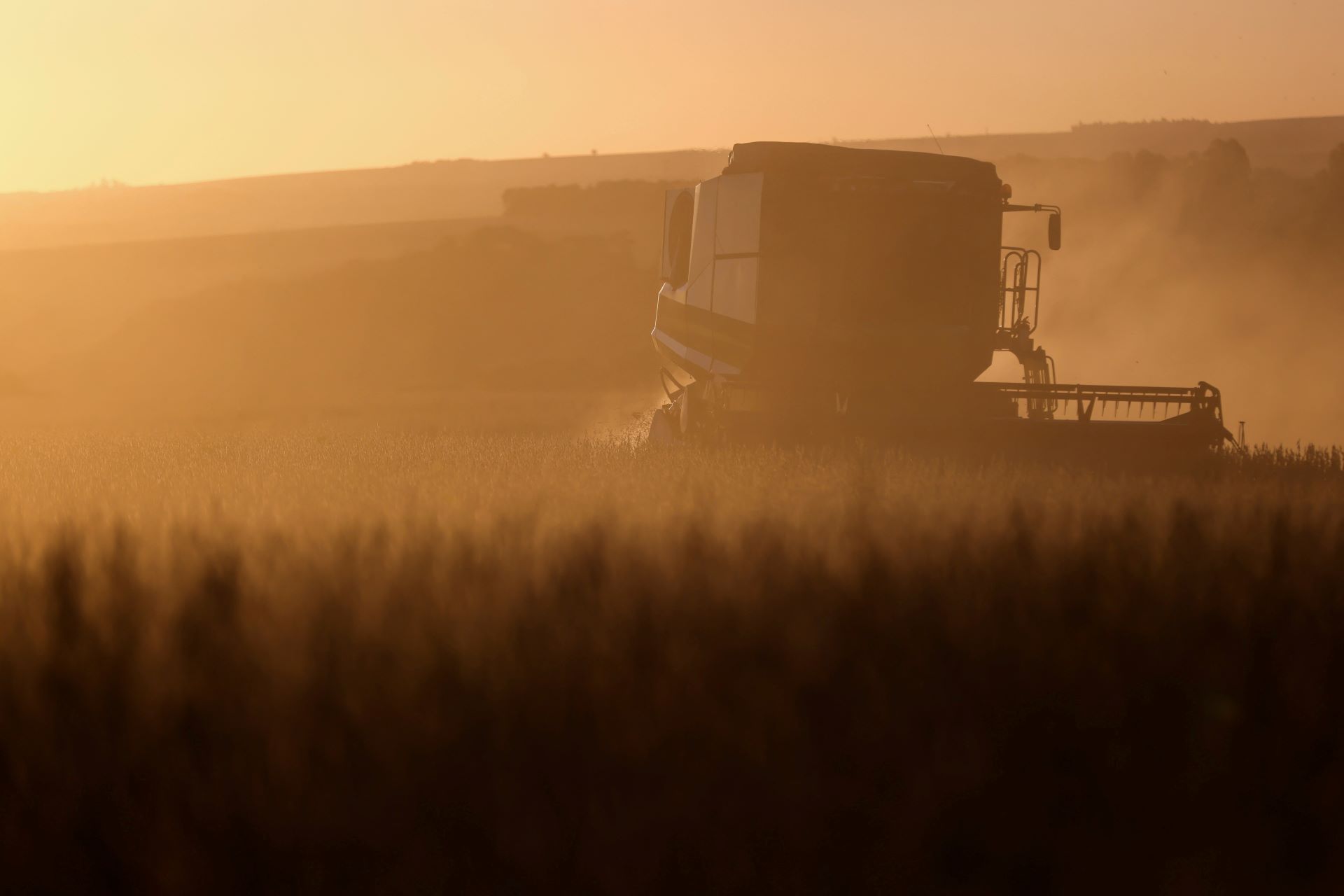 Pedidos de recuperação judicial no agronegócio sobem 22% no 1º trimestre, diz Serasa