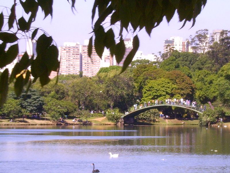 SP confirma segundo caso de gripe aviária do ano; ave foi encontrada no Ibirapuera
