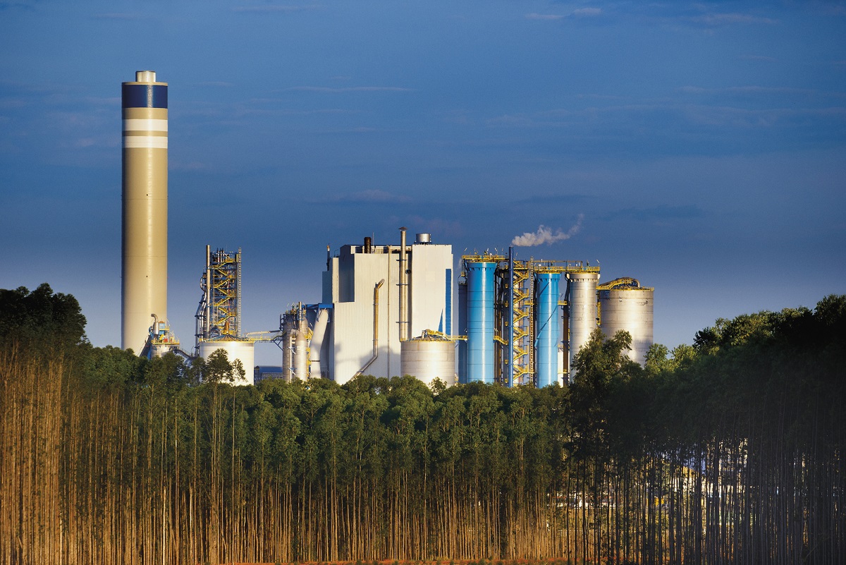 Suzano aumentará preços da celulose para Ásia pela primeira vez desde abril